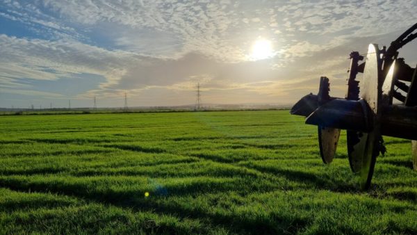 Pikarahti ja kuriiripalvelut